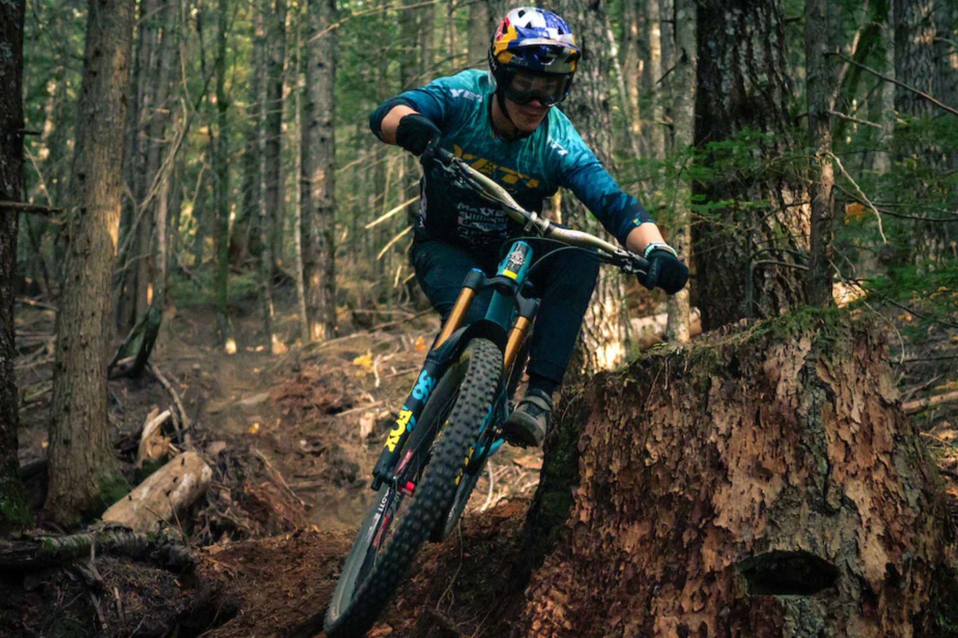 MTB rider in forest